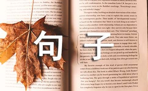 篮球训练心得体会200字左右作文_1